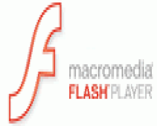 Скандок не запускается macromedia flash player